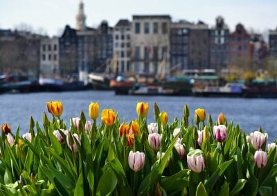 Trouwen in Amsterdam