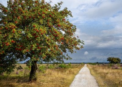 Trouwen in Drenthe